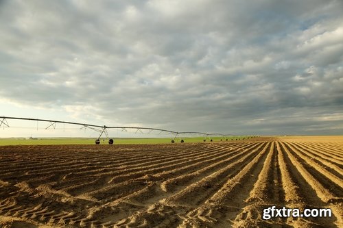 Field Irrigation System watering plants drainage system 25 HQ Jpeg