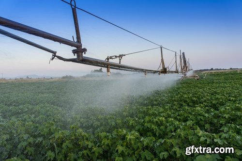 Field Irrigation System watering plants drainage system 25 HQ Jpeg