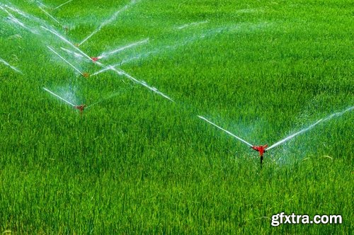 Field Irrigation System watering plants drainage system 25 HQ Jpeg