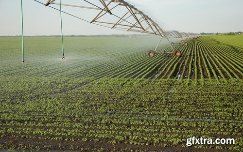 Field Irrigation System watering plants drainage system 25 HQ Jpeg