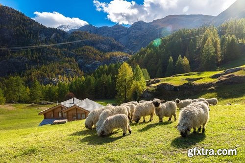 Alps Alpine mountain cliff top resort mountain field meadow landscape 25 HQ Jpeg