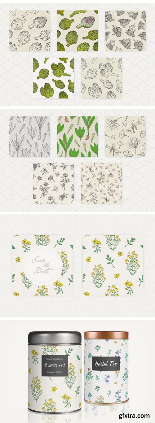 CM - Seamless Patterns of Herbs and Plant 1838525