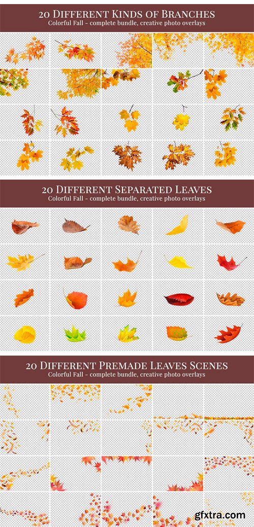 CM - Colorful Fall Photo Overlays 1831250