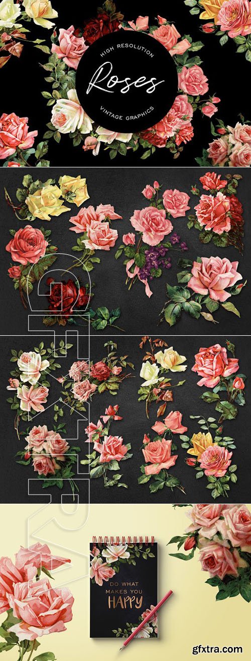 CreativeMarket - Vintage Rose Graphics 1863515