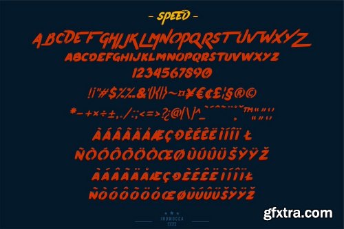 Pumpkin's Brush Font Family - 3 Fonts