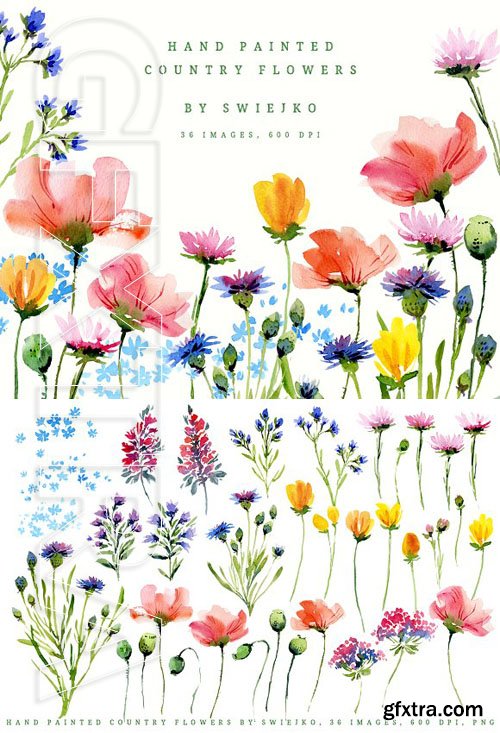 CreativeMarket - Hand painted country flowers 1861526