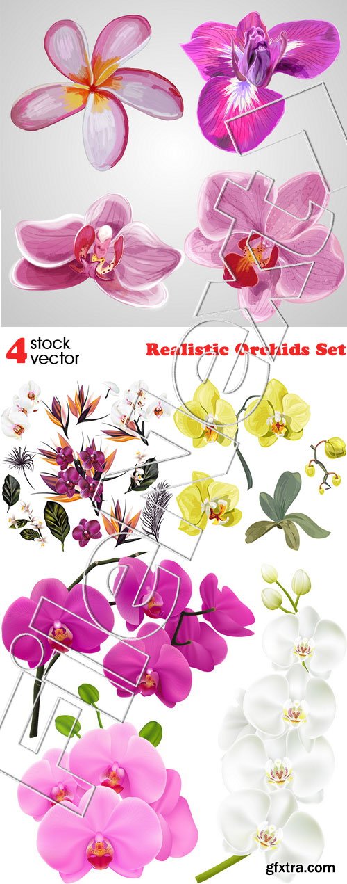 Vectors - Realistic Orchids Set