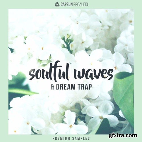 CAPSUN ProAudio Soulful Waves and Dream Trap WAV-FANTASTiC