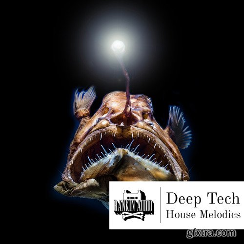 Rankin Audio Deep Tech House Melodics WAV MiDi-FANTASTiC