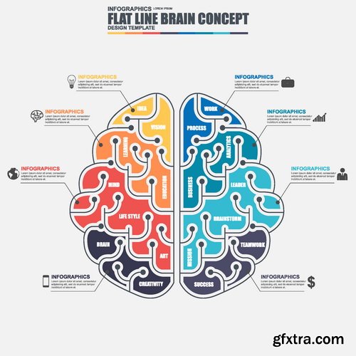 Vectors - Brain Infographics Backgrounds 15