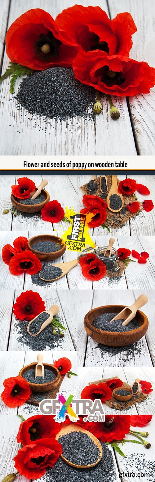 Flower and seeds of poppy on wooden table