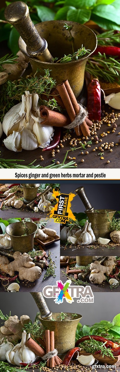 Spices ginger and green herbs mortar and pestle