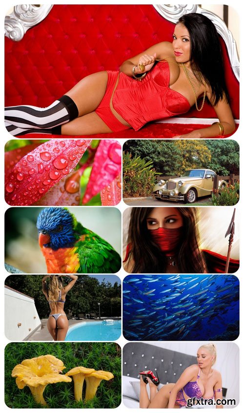 Beautiful Mixed Wallpapers Pack 524