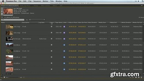 Premiere Pro Guru: Organizing Assets