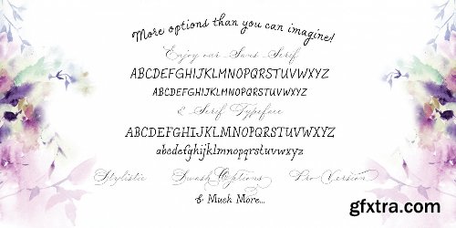 Madison Street Font Family - 8 Fonts