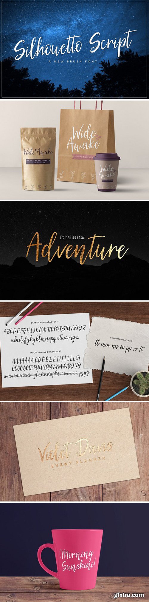 CM - Silhouetto Script Font 1821356