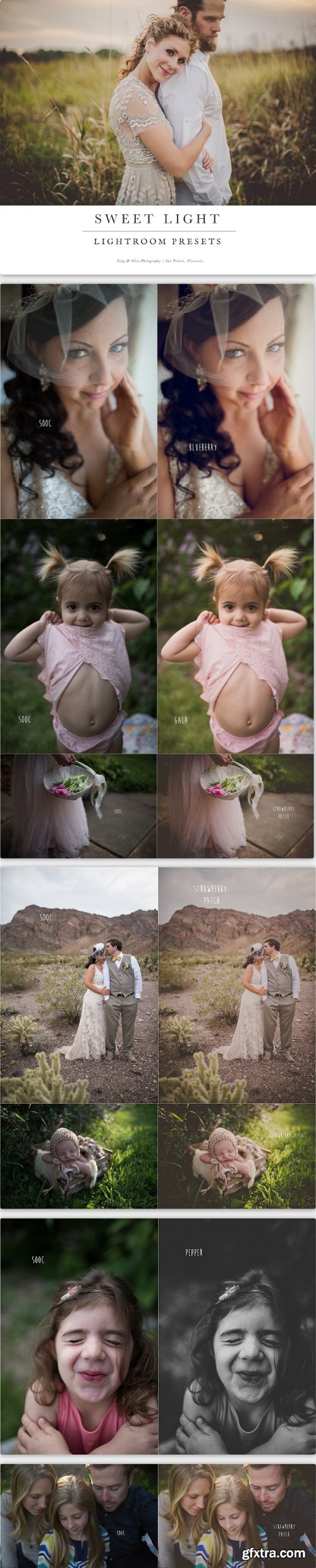 Twig & Olive Photography - LR Sweet Light Presets