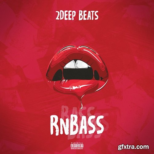 2DEEP RnBass WAV-DISCOVER