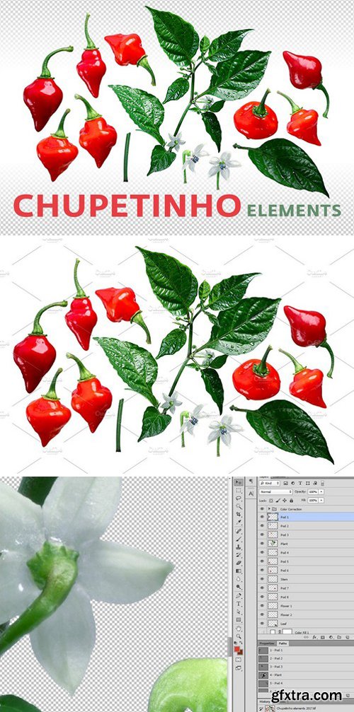 CM - Chupetinho elements 1867877