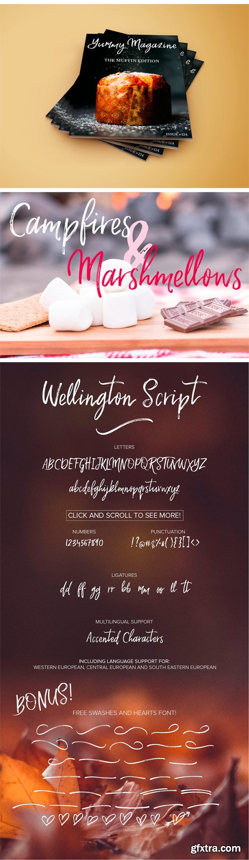 CM - Wellington Script Font 1876014