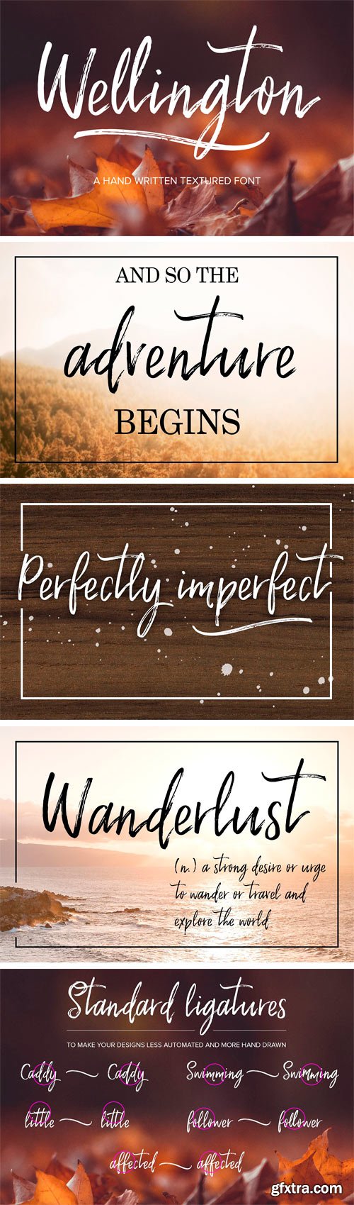 CM - Wellington Script Font 1876014