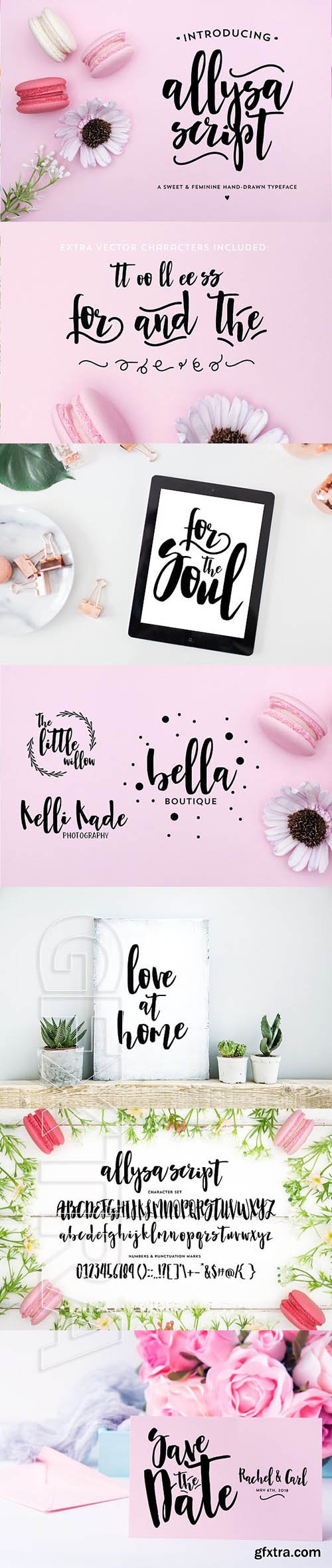 CreativeMarket - ALLYSA SCRIPT font 1907046