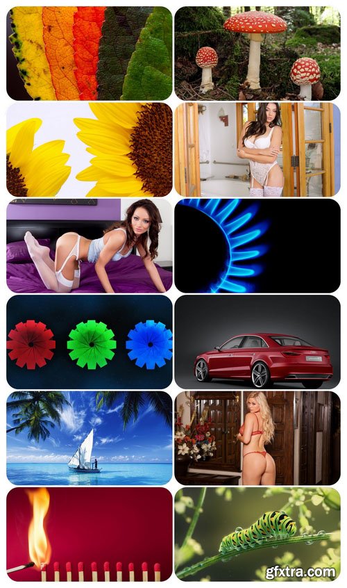 Beautiful Mixed Wallpapers Pack 530