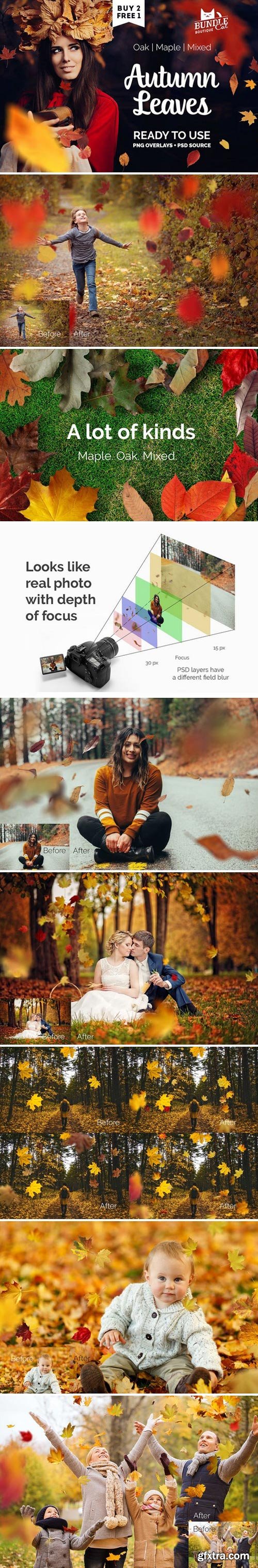 CM - Autumn Leaves Photo Overlay 1870503