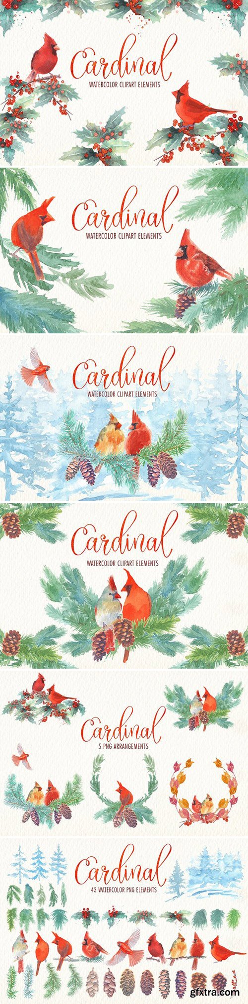 CM - Cardinal bird watercolor clipart set 1870858