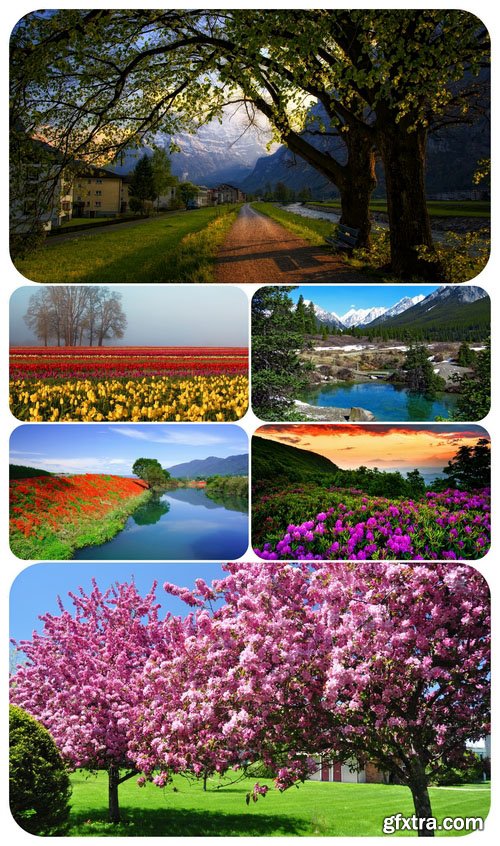 Wallpaper Seasons - Spring