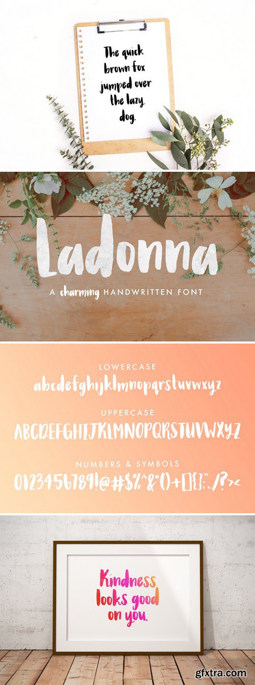 CM - Ladonna Brush Font 1890805