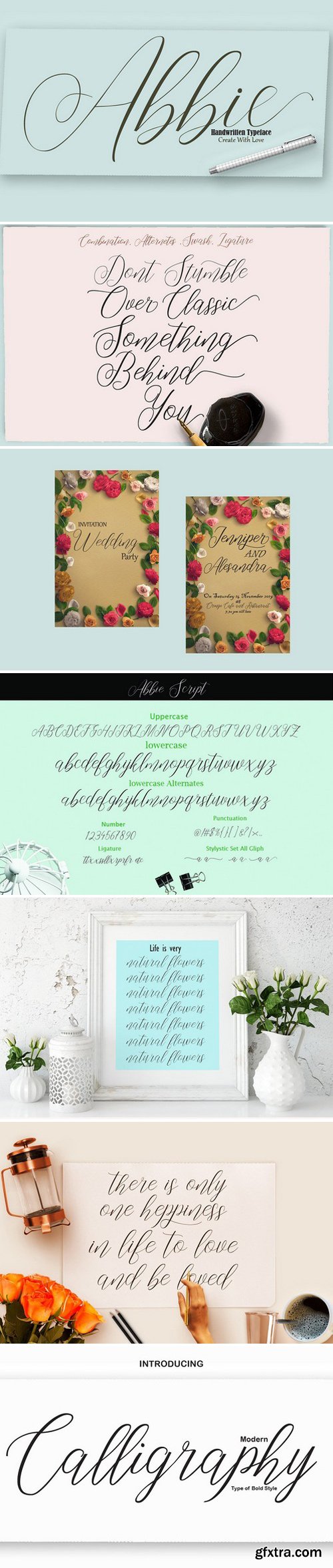 CM - Abbie Script Fonts 1871390