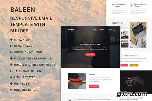 CM -  Baleen - Responsive email template 818807