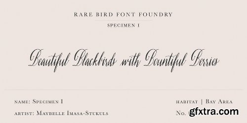 Rare Bird Specimen I Font