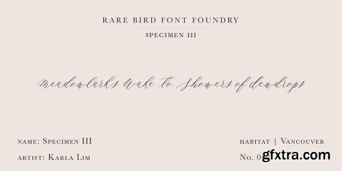 Rare Bird Specimen III Font