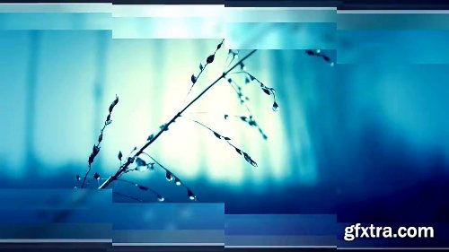 Videohive New Transitions 20701559