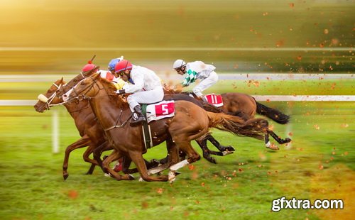 Photos - Horse Racing Set