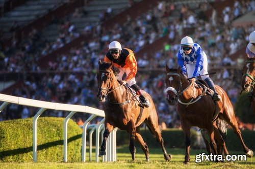 Photos - Horse Racing Set