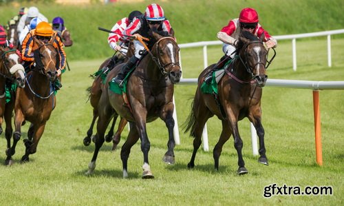 Photos - Horse Racing Set