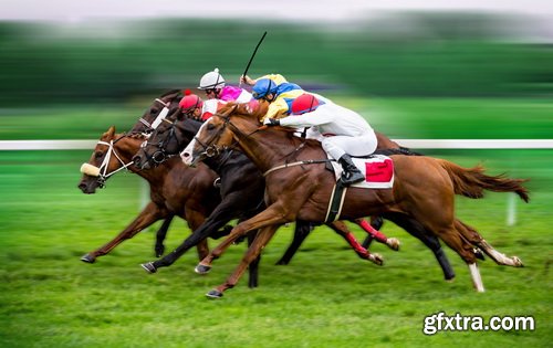 Photos - Horse Racing Set