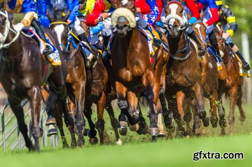 Photos - Horse Racing Set