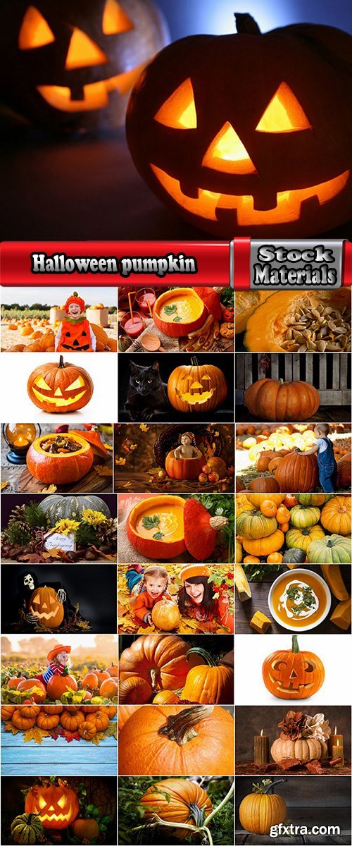 Halloween pumpkin Thanksgiving orange vegetable 25 HQ Jpeg