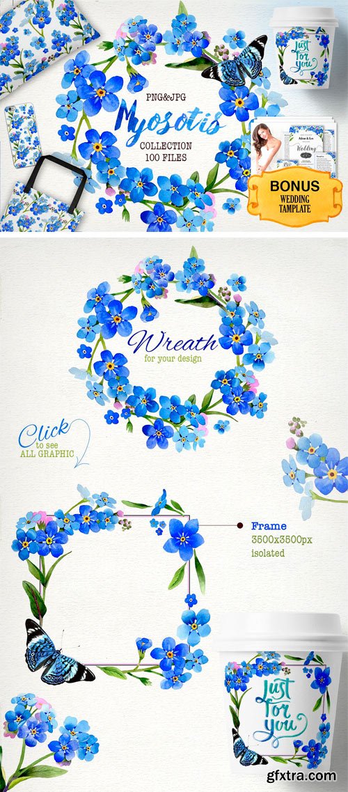 CM - Myosotis Flowers PNG Watercolor Set 1920321