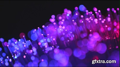 Fiber Optics Macro