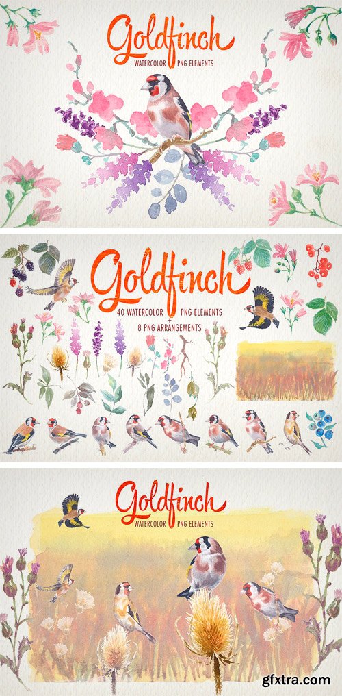 CM - Watercolor Goldfinch Bird Clipart 1922106