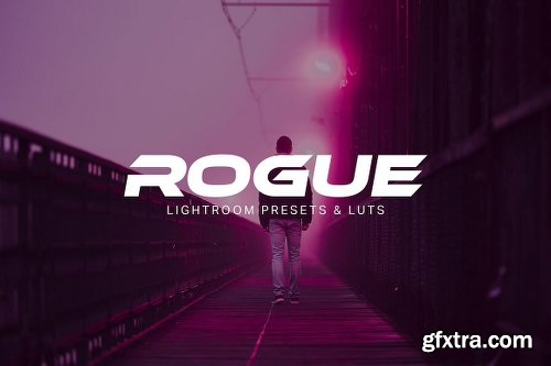 CreativeMarket Rogue - Lightroom Presets and LUTs 1974021