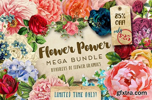 Mega Bundle of Gorgeous Flower Graphics