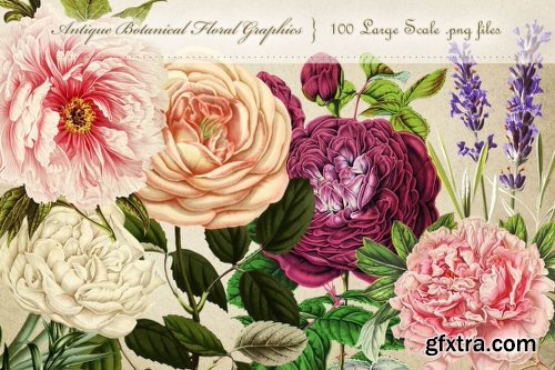 Mega Bundle of Gorgeous Flower Graphics