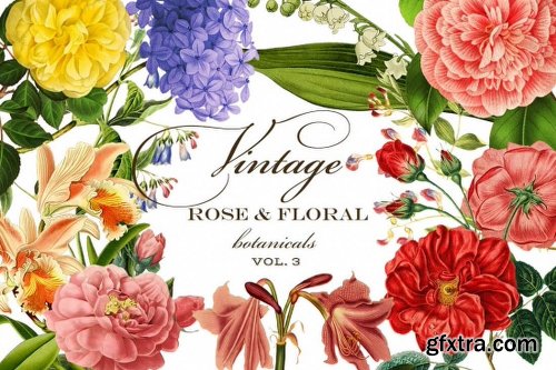 Mega Bundle of Gorgeous Flower Graphics