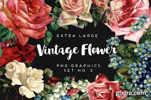 Mega Bundle of Gorgeous Flower Graphics